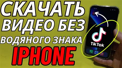 Скачать видео с Тик Тока без водяного знака онлайн.
